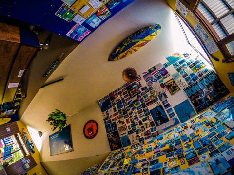 Cool Bananas Backpackers - Accommodation Brisbane 29
