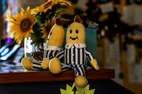 Cool Bananas Backpackers - Accommodation Brisbane 30