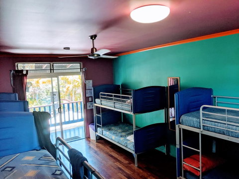 Cool Bananas Backpackers - Accommodation Brisbane 5