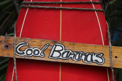 Cool Bananas Backpackers - Accommodation Brisbane 41