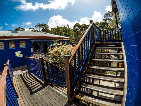 Cool Bananas Backpackers - Accommodation Brisbane 27