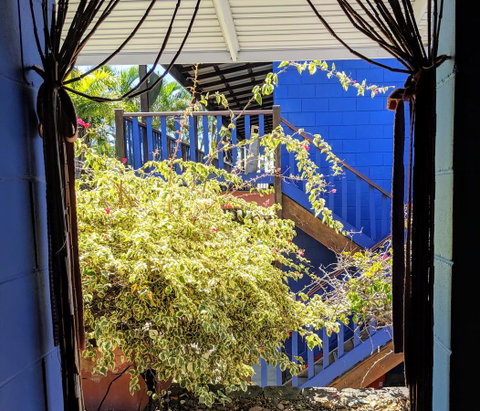 Cool Bananas Backpackers - Accommodation Brisbane 10