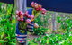 Cool Bananas Backpackers - thumb 26