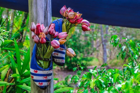 Cool Bananas Backpackers - Accommodation Brisbane 26