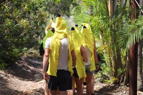 Cool Bananas Backpackers - Accommodation Brisbane 19