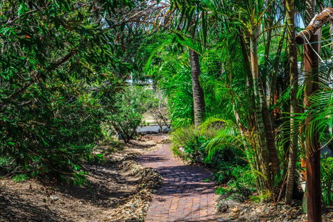 Cool Bananas Backpackers - Accommodation Brisbane 15