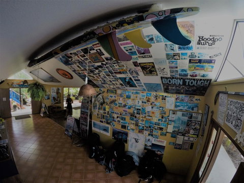 Cool Bananas Backpackers - Accommodation Brisbane 31