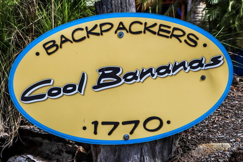 Cool Bananas Backpackers - Accommodation Brisbane 38