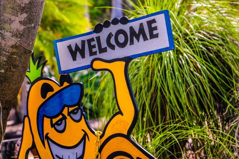 Cool Bananas Backpackers - Accommodation Brisbane 37