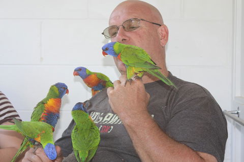 Amaroo On Mandalay, Magnetic Island - Accommodation Brisbane 33