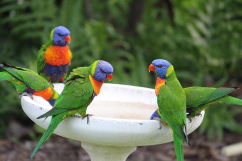Amaroo On Mandalay, Magnetic Island - Accommodation Brisbane 27