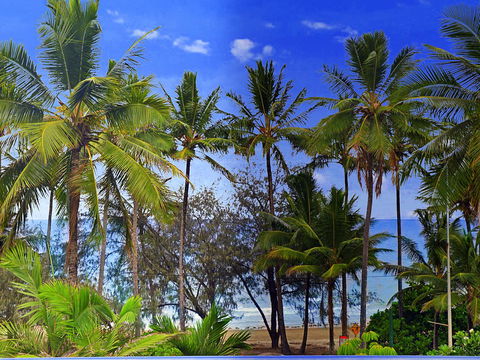 By The Sea Port Douglas - Accommodation Brisbane 3