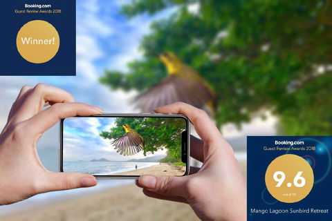 Mango Lagoon Sunbird Retreat - Accommodation Brisbane 1