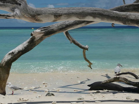 Beach Club Port Douglas Luxury Apartments - Accommodation Brisbane 23