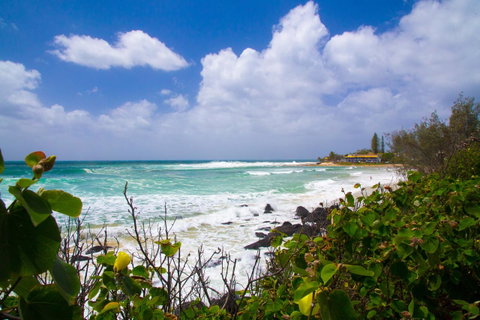 Rainbow Bay Backpackers - Accommodation Brisbane 0