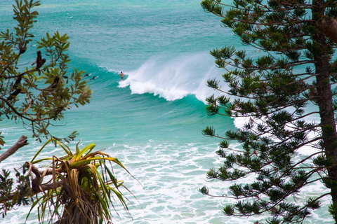 Rainbow Bay Backpackers - Accommodation Brisbane 15