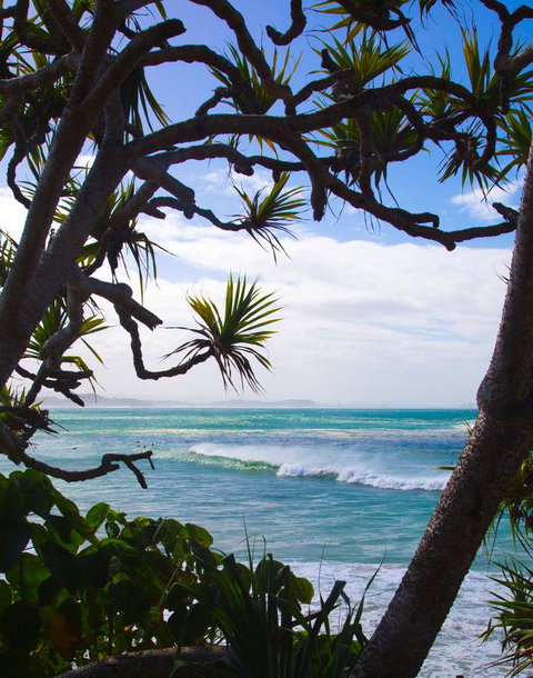 Rainbow Bay Backpackers - Accommodation Brisbane 25