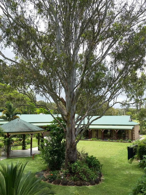 The Bearded Dragon Boutique Hotel - Accommodation Brisbane 32