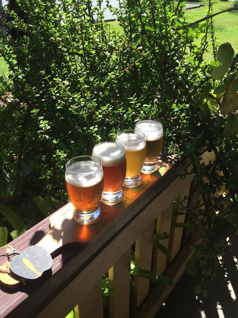 The Bearded Dragon Boutique Hotel - Accommodation Brisbane 31