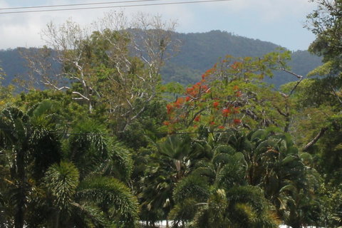 Sea Point On Trinity Beach - Accommodation Brisbane 21
