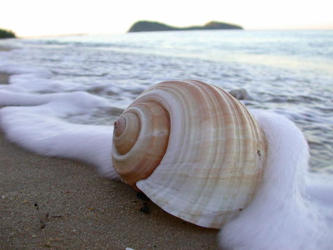 Argosy On The Beach - Accommodation Brisbane 18