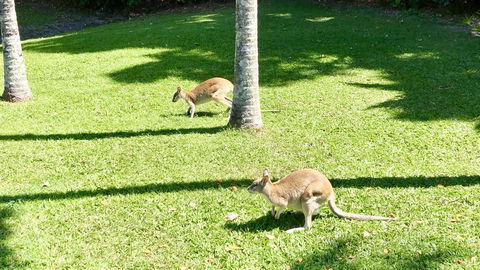 Argosy On The Beach - Accommodation Brisbane 15