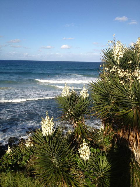 Oceania On Burleigh Beach - Accommodation Brisbane 23