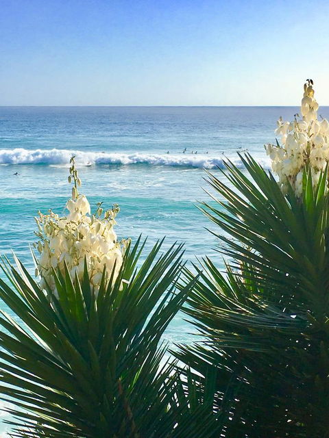 Oceania On Burleigh Beach - Accommodation Brisbane 21