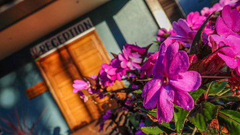 Blue Summit Hideaway - Accommodation Brisbane 33