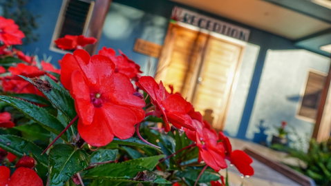 Blue Summit Hideaway - Accommodation Brisbane 1