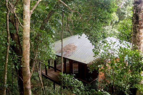 Cairns Rainforest Retreat - Accommodation Brisbane 0