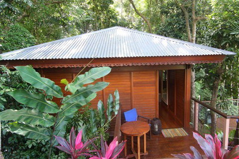 Cairns Rainforest Retreat - Accommodation Brisbane 5