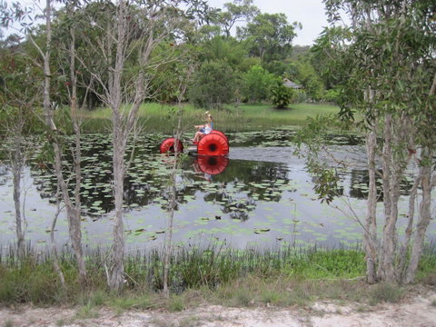 1770 Southern Cross Travellers Retreat - Accommodation Brisbane 16