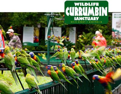 Private Guest Suite High On Currumbin Hill - Accommodation Brisbane 19