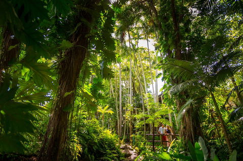 Cairns Colonial Club Resort - Accommodation Brisbane 22