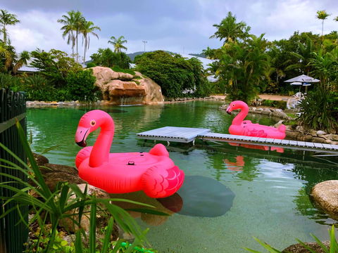 Cairns Colonial Club Resort - Accommodation Brisbane 6