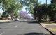 Riviera On Ruthven - thumb 15