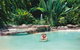 Misty Mountains Rainforest Retreat - thumb 14