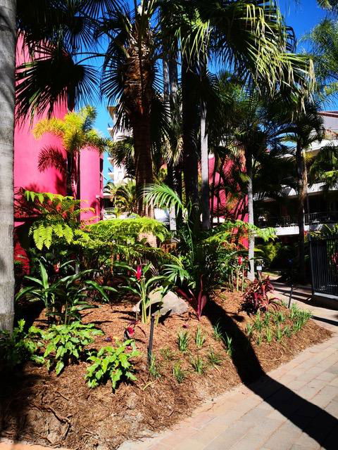 Enderley Gardens Resort - Accommodation Brisbane 12