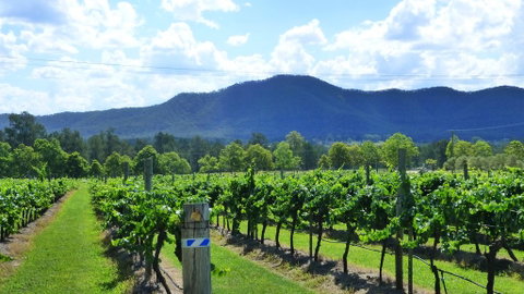 Winmark Wines - Accommodation Brisbane 1