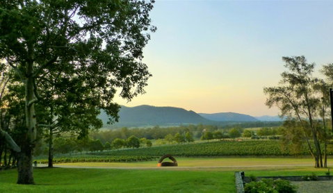 Winmark Wines - Accommodation Brisbane 0
