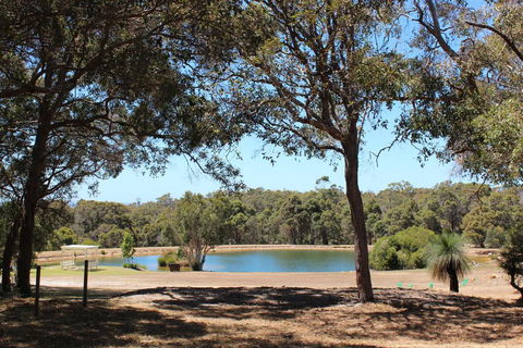 Woodstone Goanna Cottage - Accommodation Brisbane 3