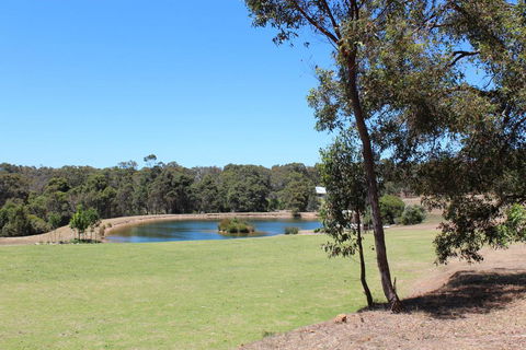 Woodstone Goanna Cottage - Accommodation Brisbane 2