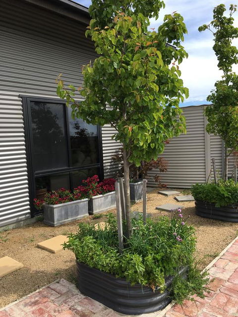 Woolamai Dreaming - Accommodation Brisbane 2
