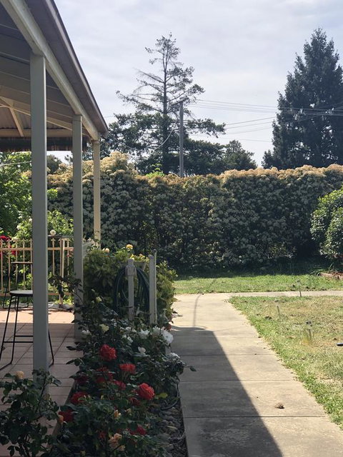 Zen Garde - Accommodation Brisbane 0