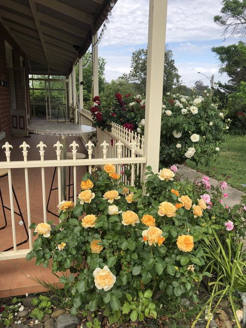 Zen Garde - Accommodation Brisbane 1