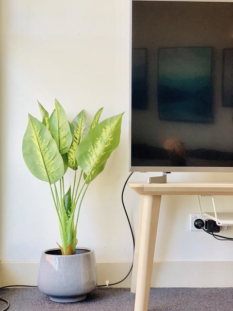 ZEN Homes On Collins - Accommodation Brisbane 3