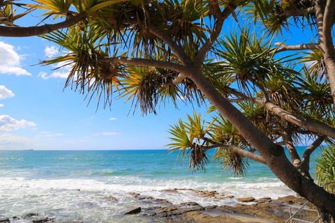 Alex Heads Beachfront Resort 2 Bedroom Apartment - Accommodation Brisbane 3