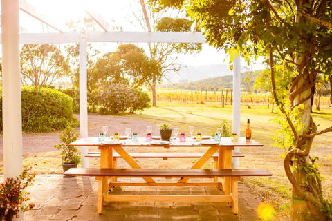 Among The Vines - Accommodation Brisbane 1