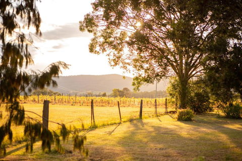 Among The Vines - Accommodation Brisbane 2